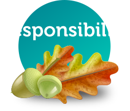 Responsibility